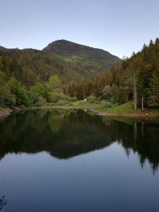 Vila Vikendica Moonlight Zaovine Exteriér fotografie