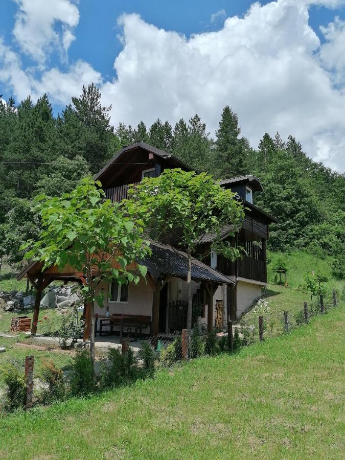 Vila Vikendica Moonlight Zaovine Exteriér fotografie
