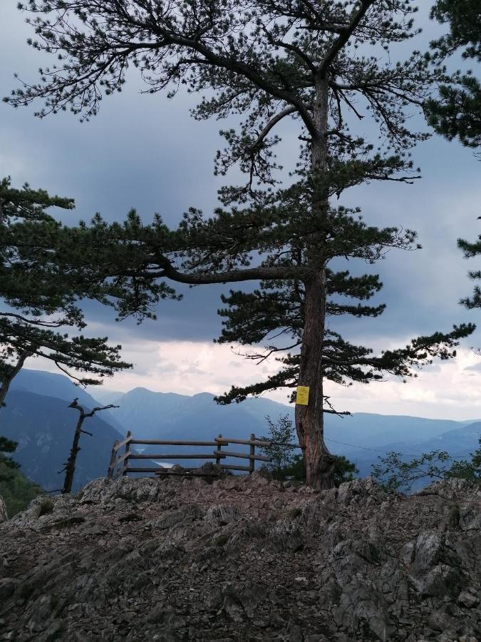 Vila Vikendica Moonlight Zaovine Exteriér fotografie