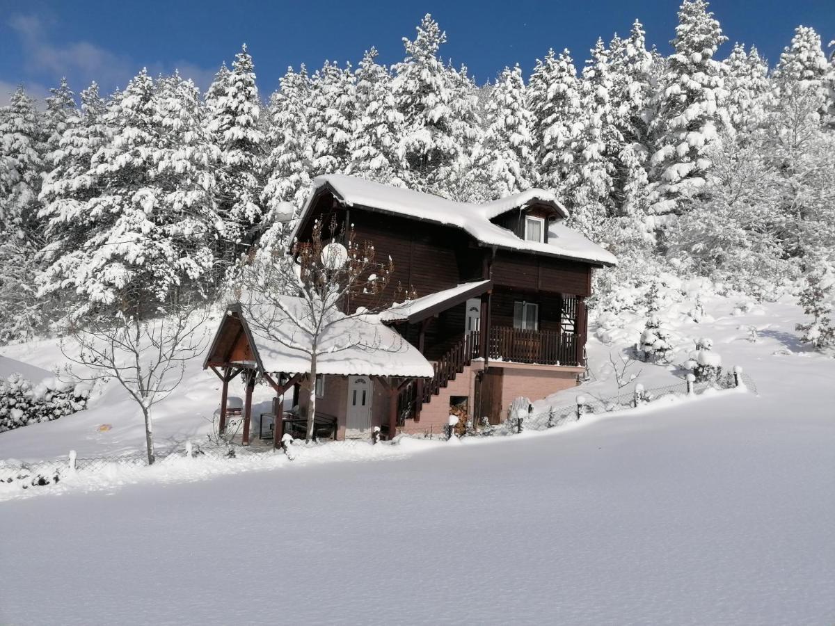 Vila Vikendica Moonlight Zaovine Exteriér fotografie