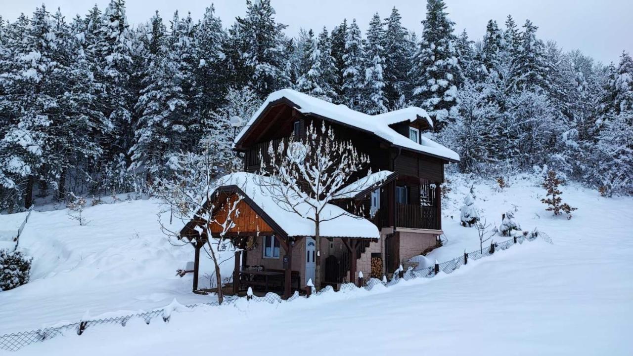 Vila Vikendica Moonlight Zaovine Exteriér fotografie